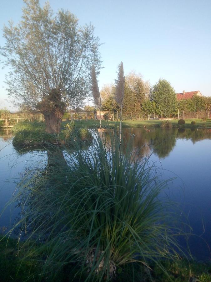 Chambre Coin Nature Fromelles ภายนอก รูปภาพ